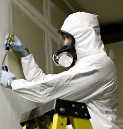 Asbestos Remover Jobs