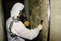Asbestos Removers in Your City