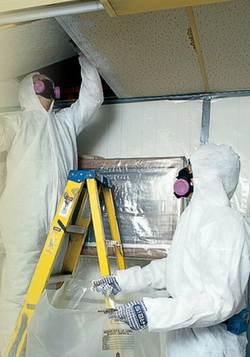 Asbestos Removers San Diego